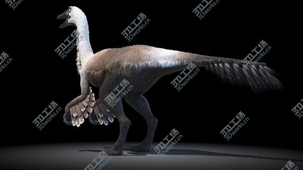 images/goods_img/20210312/3D Gallimimus/5.jpg